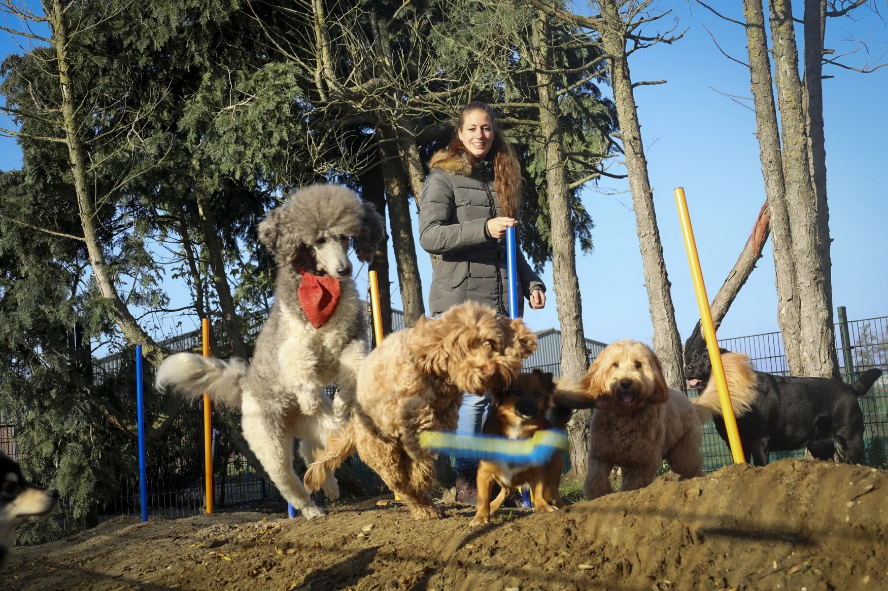 een thuis waar je hond gewoon hond mag zijn